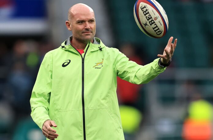 RUGBY: Springbok coach Nienaber’s match squad gamble should pay off