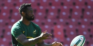 News24 | Kolisi returns from injury to lead Springboks in Wales World Cup warm-up