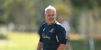 Sport | Wallabies assistant coach quits on eve of Rugby World Cup