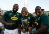 Springboks are a different beast this time around