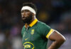 The hard work starts now for the Springboks