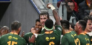 Springboks back in Green and Gold kit to face Romania