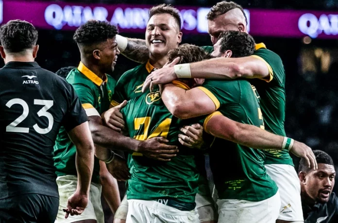 Updated rankings: Where Springboks stand after Tonga win
