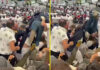 Fan thrown down rows of stands in shocking fight during England’s Rugby World Cup win over Fiji