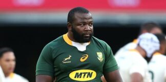 News24 | SA Rugby must build on the Boks’ success – sport committee chairperson Beauty Dlulane