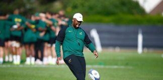 Sport | Boks’ 7/1 move harnesses ‘best possible 23’ to counter All Blacks, says Stick