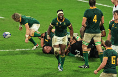 South Africa cling on against 14-man New Zealand to win record fourth Rugby World Cup