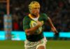 News24 | Rugby World Cup final: Why Springboks rugby players are doing this for ‘Die Stoepe’