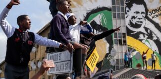 RWC 2023 HOMECOMING : Cars honk, fans roar in Cape Town townships as the Boks show off their World Cup trophy 
