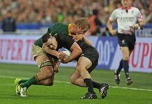 Sport | 5 World Cup-winning Boks nominated for SA Rugby Player of the Year accolade