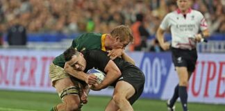 Sport | 5 World Cup-winning Boks nominated for SA Rugby Player of the Year accolade
