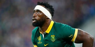 Sport | Springboks set for mouth-watering 2024 home Test schedule