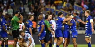 Sport | SA rugby franchise wrap | Stormers still SA’s flagship team, but Bulls are charging