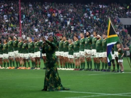 ‘Money alone won’t bring Springboks back to South Africa’