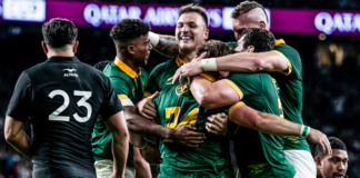 SA Rugby targets record sponsorship boost with 20% stake sale to Ackerley Sports Group