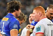 News24 | ‘Spicy Plum’ Kitshoff returning home to the Stormers