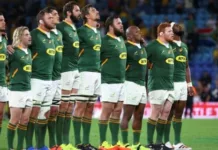 Rugby Championship | Boks open campaign against Wallabies