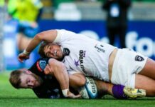 Sport | Understrength but spirited Sharks show fight in loss to Glasgow Warriors