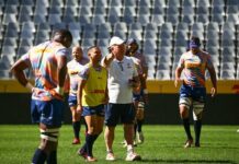 News24 | Under-pressure Stormers brace for Leinster backlash: ‘Lose and we’ll be in a world of trouble’