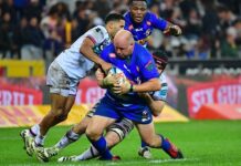 News24 | Dobson hails veteran Brok Harris on 150-game milestone: ‘One of the greatest Stormers of all time’