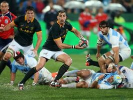 Sport | SA rugby veteran Ruan Pienaar leaves as no ‘Tiger Woods’, but stamps indelible mark of his own