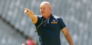 Sport | Stormers to go ‘full-metal jacket’ against Lions in last home game, vows Dobson