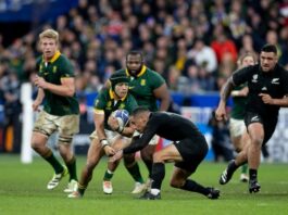 Sport | Springboks v All Blacks: Ticket prices for Cape Town Test range from R250 to R3 500