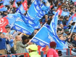 Sport | Bulls v Glasgow Warriors: URC Grand Final tickets for Loftus showdown