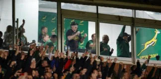 New-look Springboks get mixed reviews after Ireland win – eNCA
