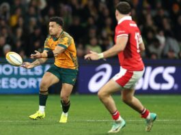Australia v Wales LIVE rugby: Latest score and updates as Filipo Daugunu has first try