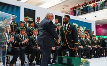 News24 | SA Rugby supports SABC in ‘critically important’ Springbok broadcasting fracas