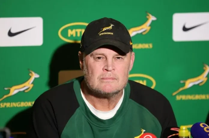 Erasmus to use Portugal Test as auditions for Rugby Championship