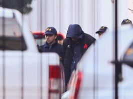 Sport | French rugby players accused of rape granted house arrest for now