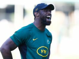 Sport | Kolisi leads 33-man Springbok squad named for Rugby Championship