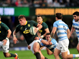Rugby: Boks and Pumas brace for Rugby Championship showdown
