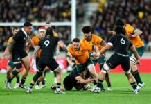 New Zealand v Australia LIVE: Latest score and updates from Rugby Championship clash in Wellington