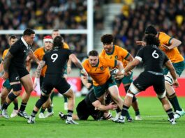 New Zealand v Australia LIVE: Latest score and updates from Rugby Championship clash in Wellington