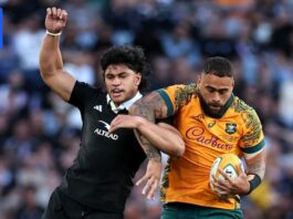 Live updates: New Zealand All Blacks vs Wallabies, Bledisloe Cup in Wellington