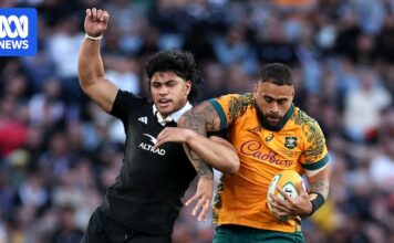 Live updates: New Zealand All Blacks vs Wallabies, Bledisloe Cup in Wellington