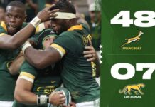 UPDATED world rugby rankings after Springboks' win