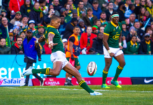 Erasmus lauds his Boks after Rugby Championship glory