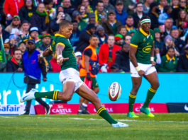 Erasmus lauds his Boks after Rugby Championship glory