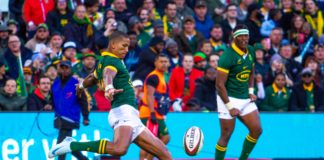 Erasmus lauds his Boks after Rugby Championship glory