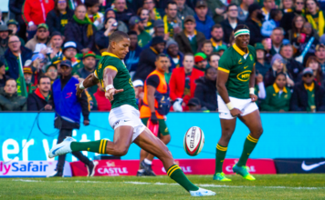 Erasmus lauds his Boks after Rugby Championship glory