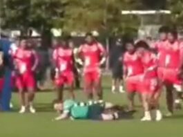 Attack on Auckland rugby referee referred to police