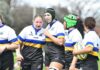ACT & SNSW Kestrels ready to soar at Australian Rugby Shield