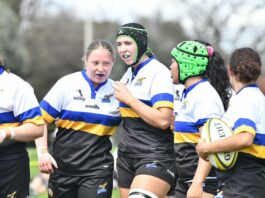 ACT & SNSW Kestrels ready to soar at Australian Rugby Shield