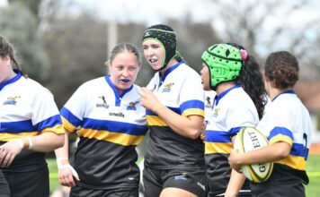 ACT & SNSW Kestrels ready to soar at Australian Rugby Shield