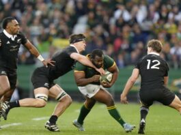 All Blacks, Wallabies searching for winning form in Bledisloe Cup opener
