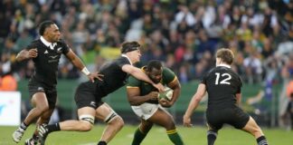 All Blacks, Wallabies searching for winning form in Bledisloe Cup opener